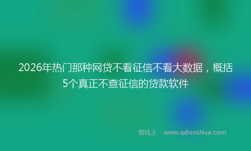 2026年热门那种网贷不看征信不看大数据，概括5个真正不查征信的贷款软件