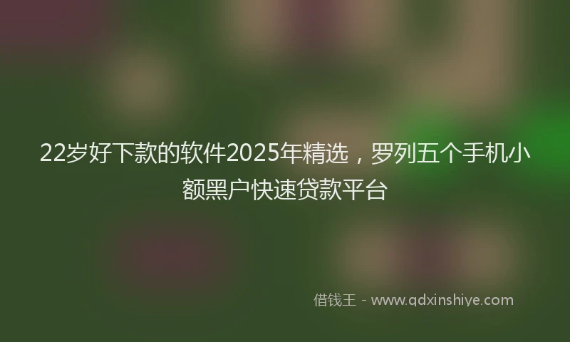 22岁好下款的软件2025年精选，罗列五个手机小额黑户快速贷款平台