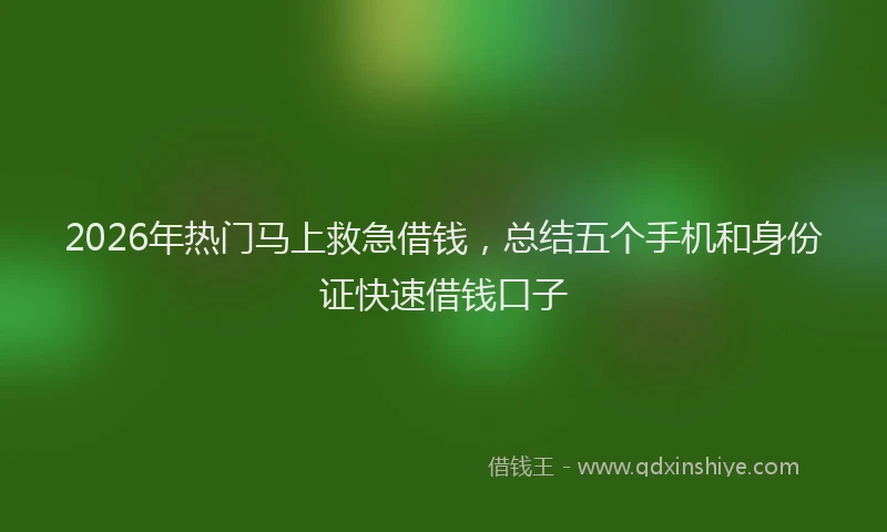 2026年热门马上救急借钱，总结五个手机和身份证快速借钱口子