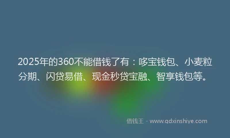 2025年的360不能借钱了有：哆宝钱包、小麦粒分期、闪贷易借、现金秒贷宝融、智享钱包等。