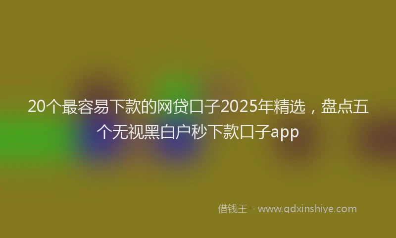 20个最容易下款的网贷口子2025年精选，盘点五个无视黑白户秒下款口子app