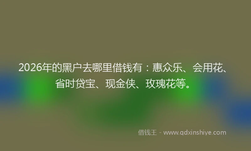 2026年的黑户去哪里借钱有：惠众乐、会用花、省时贷宝、现金侠、玫瑰花等。