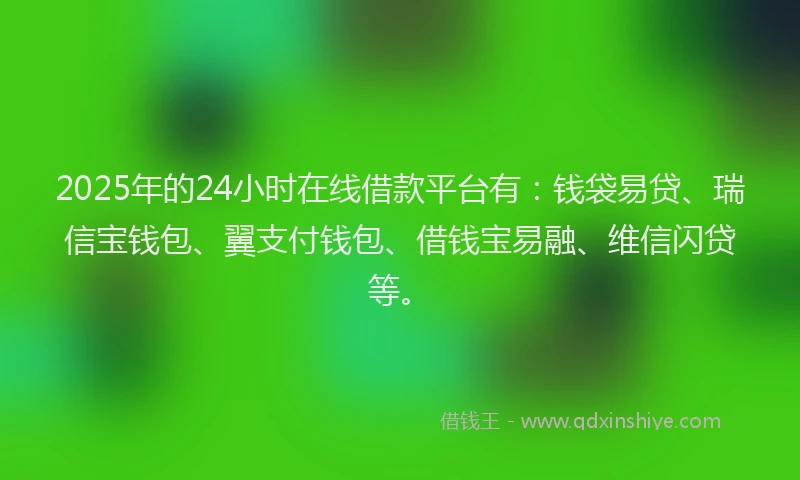 2025年的24小时在线借款平台有：钱袋易贷、瑞信宝钱包、翼支付钱包、借钱宝易融、维信闪贷等。