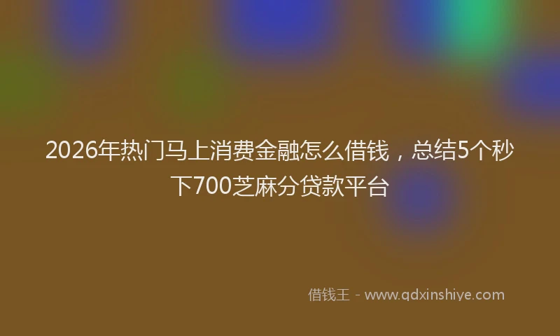 2026年热门马上消费金融怎么借钱，总结5个秒下700芝麻分贷款平台