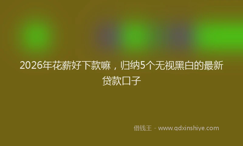 2026年花薪好下款嘛，归纳5个无视黑白的最新贷款口子