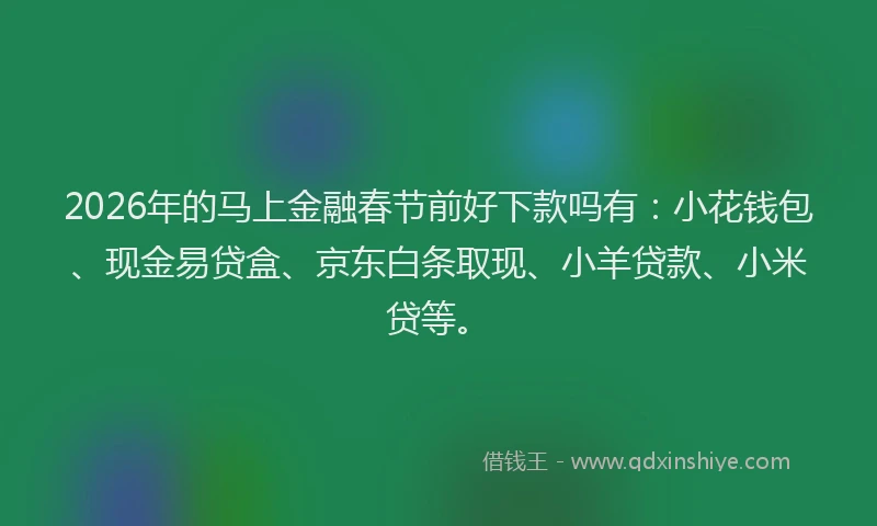 2026年的马上金融春节前好下款吗有：小花钱包、现金易贷盒、京东白条取现、小羊贷款、小米贷等。