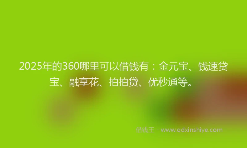 2025年的360哪里可以借钱有：金元宝、钱速贷宝、融享花、拍拍贷、优秒通等。