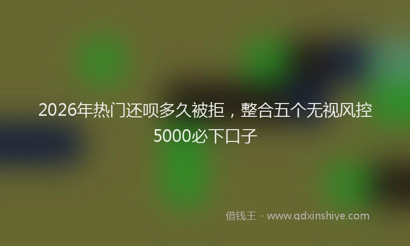 2026年热门还呗多久被拒,整合五个无视风控5000必下口子