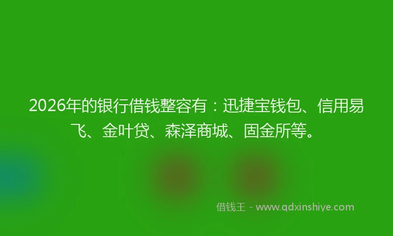 2026年的银行借钱整容有：迅捷宝钱包、信用易飞、金叶贷、森泽商城、固金所等。