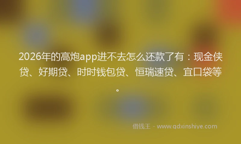 2026年的高炮app进不去怎么还款了有:现金侠贷、好期贷、时时钱包贷、恒瑞速贷、宜口袋等。