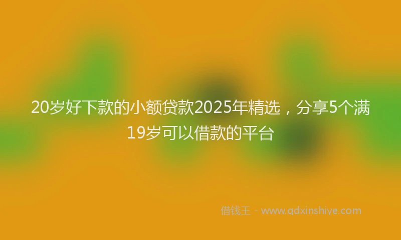 20岁好下款的小额贷款2025年精选，分享5个满19岁可以借款的平台