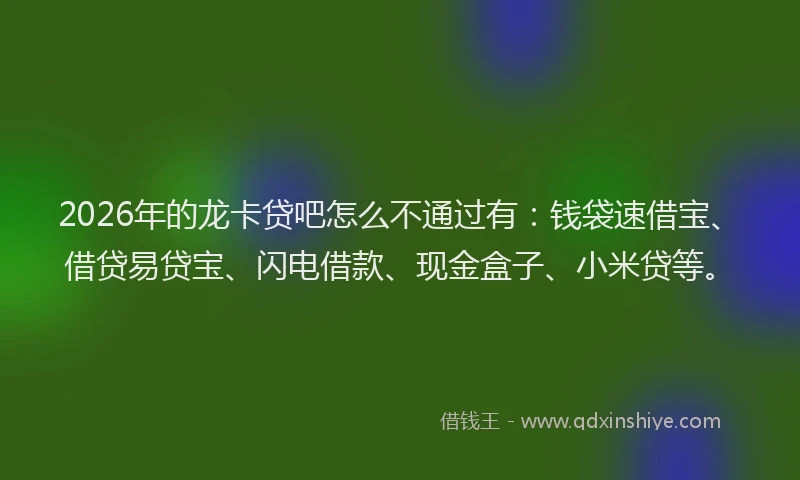 2026年的龙卡贷吧怎么不通过有：钱袋速借宝、借贷易贷宝、闪电借款、现金盒子、小米贷等。