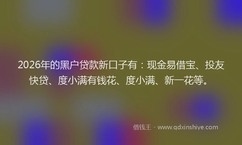 2026年的黑户贷款新口子有：现金易借宝、投友快贷、度小满有钱花、度小满、新一花等。