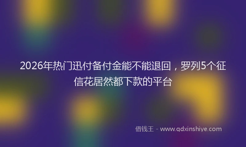 2026年热门迅付备付金能不能退回，罗列5个征信花居然都下款的平台