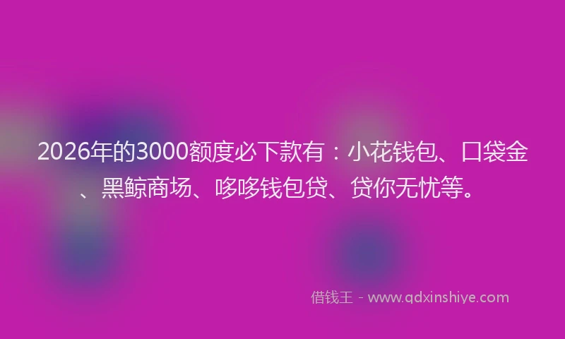 2026年的3000额度必下款有：小花钱包、口袋金、黑鲸商场、哆哆钱包贷、贷你无忧等。