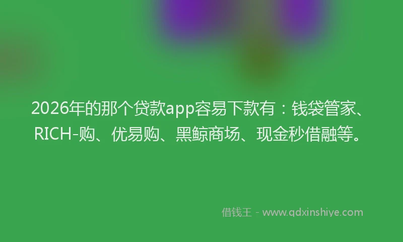2026年的那个贷款app容易下款有:钱袋管家、RICH-购、优易购、黑鲸商场、现金秒借融等。