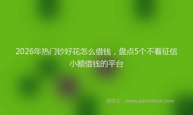 2026年热门钞好花怎么借钱，盘点5个不看征信小额借钱的平台