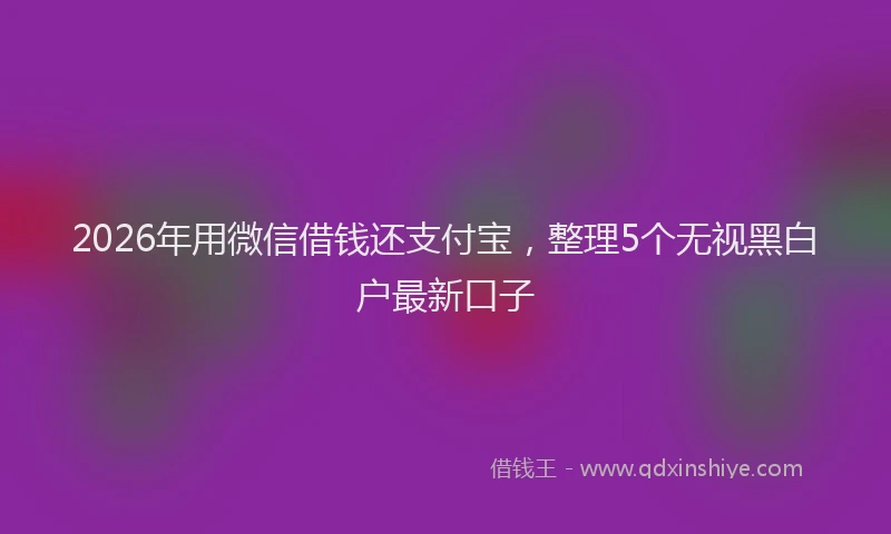 2026年用微信借钱还支付宝，整理5个无视黑白户最新口子