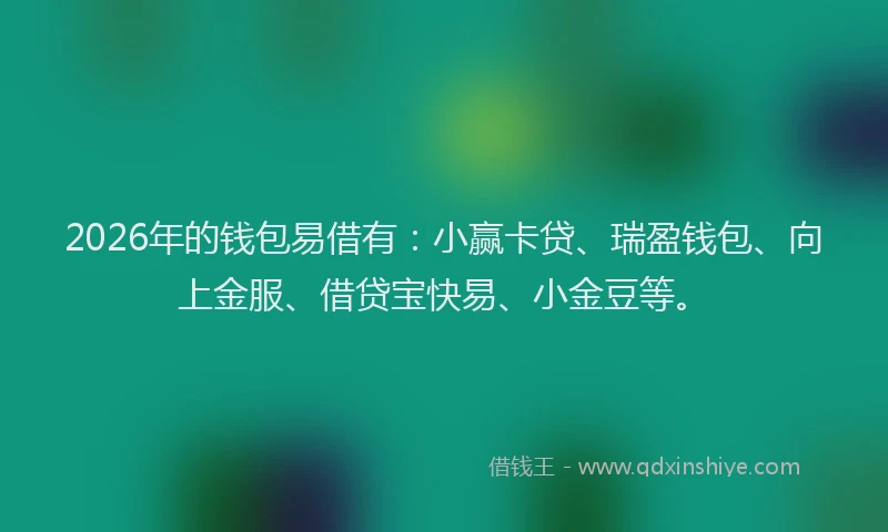 2026年的钱包易借有：小赢卡贷、瑞盈钱包、向上金服、借贷宝快易、小金豆等。