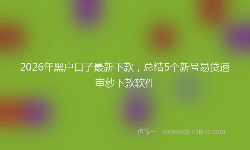2026年黑户口子最新下款,总结5个新号易贷速审秒下款软件