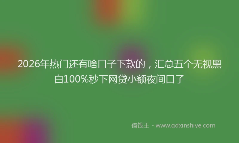 2026年热门还有啥口子下款的，汇总五个无视黑白100%秒下网贷小额夜间口子