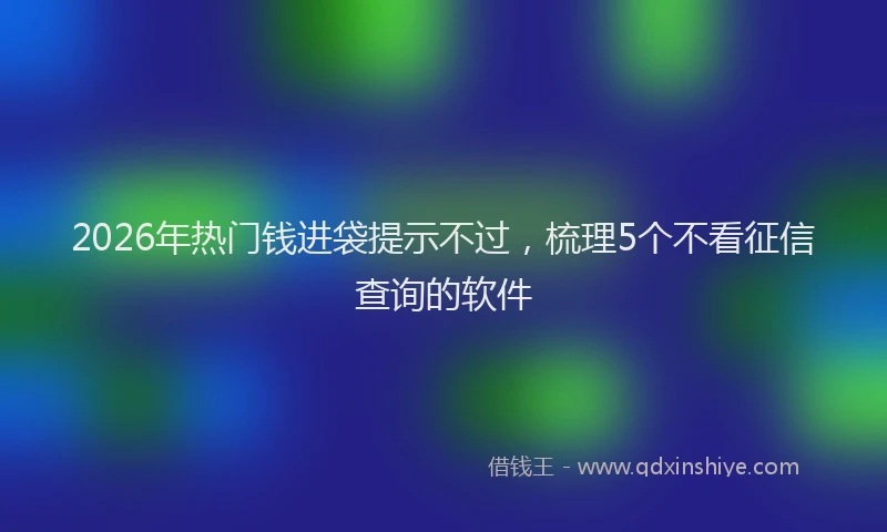 2026年热门钱进袋提示不过，梳理5个不看征信查询的软件