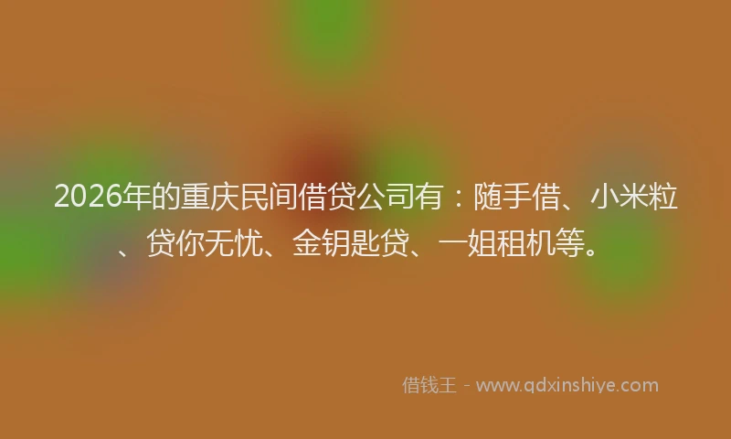 2026年的重庆民间借贷公司有：随手借、小米粒、贷你无忧、金钥匙贷、一姐租机等。
