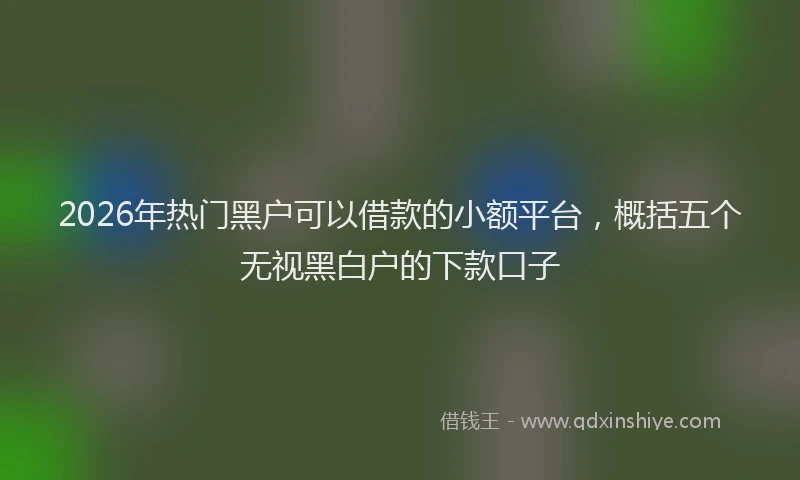2026年热门黑户可以借款的小额平台，概括五个无视黑白户的下款口子