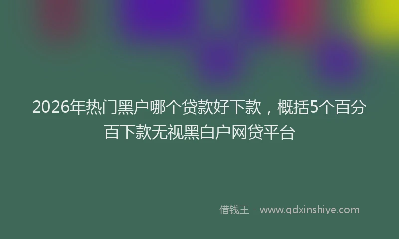 2026年热门黑户哪个贷款好下款，概括5个百分百下款无视黑白户网贷平台