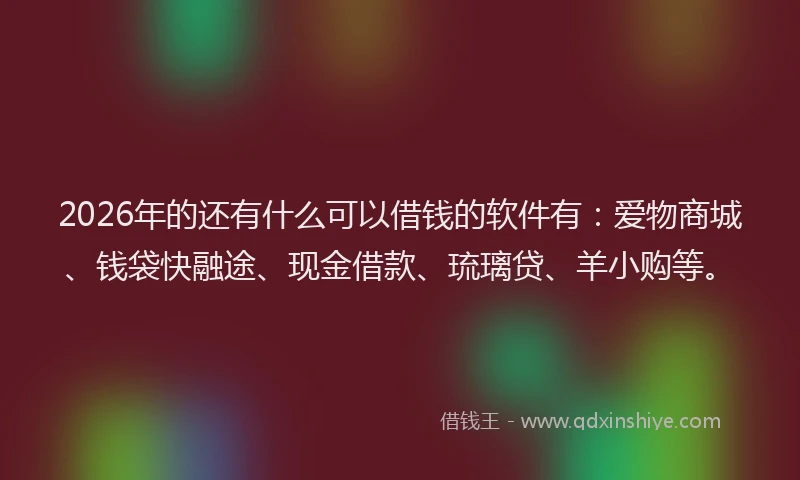 2026年的还有什么可以借钱的软件有：爱物商城、钱袋快融途、现金借款、琉璃贷、羊小购等。