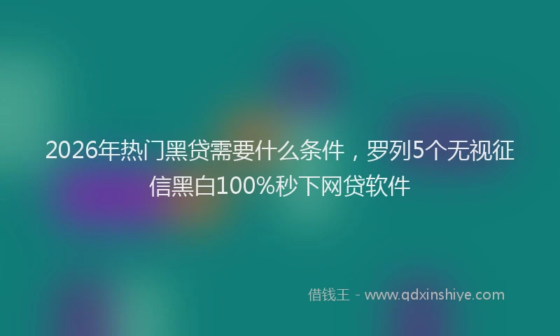 2026年热门黑贷需要什么条件，罗列5个无视征信黑白100%秒下网贷软件