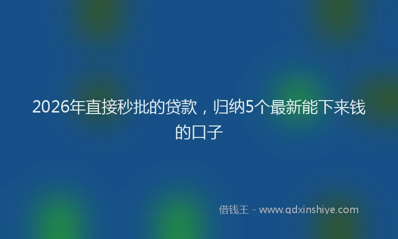 2026年直接秒批的贷款，归纳5个最新能下来钱的口子