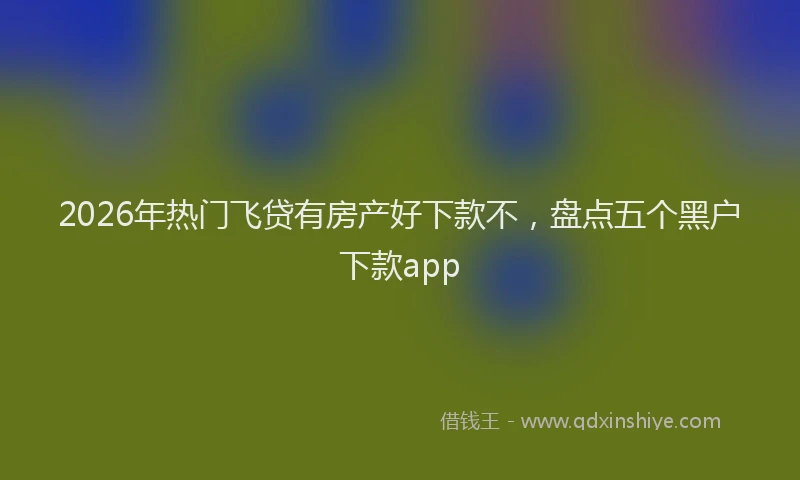 2026年热门飞贷有房产好下款不，盘点五个黑户下款app