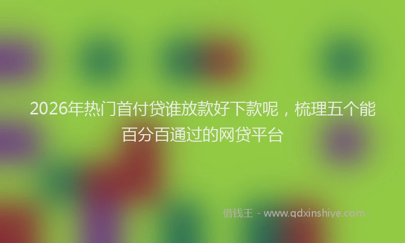 2026年热门首付贷谁放款好下款呢，梳理五个能百分百通过的网贷平台