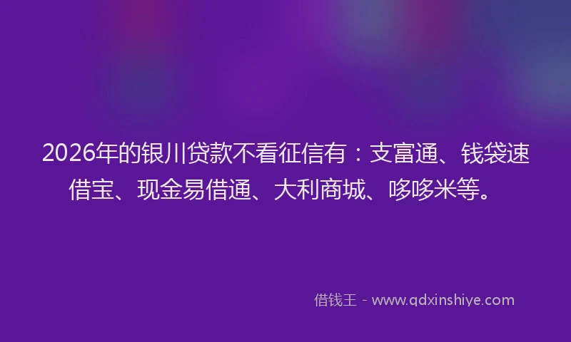 2026年的银川贷款不看征信有：支富通、钱袋速借宝、现金易借通、大利商城、哆哆米等。