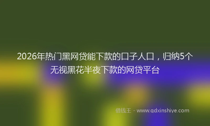 2026年热门黑网贷能下款的口子人口，归纳5个无视黑花半夜下款的网贷平台