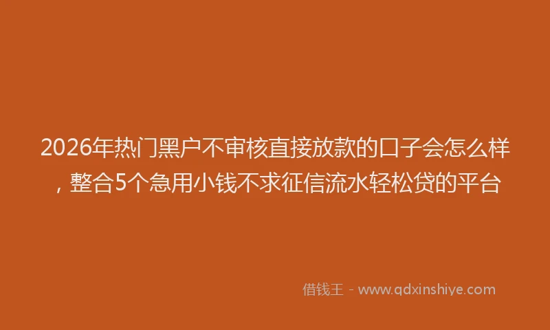 2026年热门黑户不审核直接放款的口子会怎么样，整合5个急用小钱不求征信流水轻松贷的平台