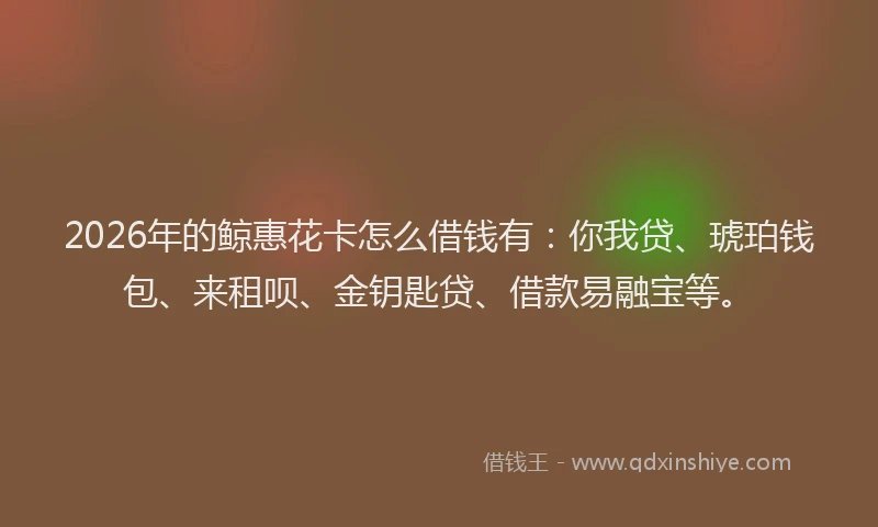 2026年的鲸惠花卡怎么借钱有：你我贷、琥珀钱包、来租呗、金钥匙贷、借款易融宝等。