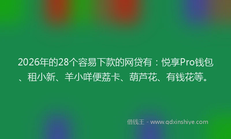 2026年的28个容易下款的网贷有：悦享Pro钱包、租小新、羊小咩便荔卡、葫芦花、有钱花等。