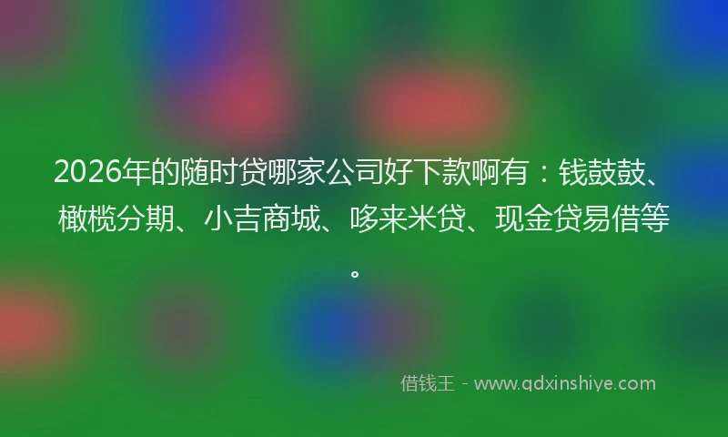 2026年的随时贷哪家公司好下款啊有：钱鼓鼓、橄榄分期、小吉商城、哆来米贷、现金贷易借等。