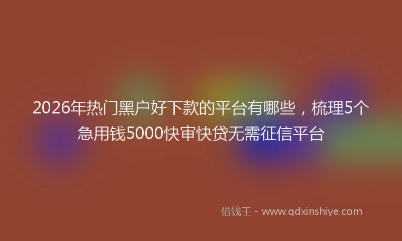 2026年热门黑户好下款的平台有哪些，梳理5个急用钱5000快审快贷无需征信平台