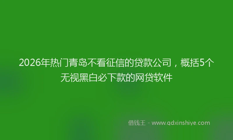 2026年热门青岛不看征信的贷款公司，概括5个无视黑白必下款的网贷软件