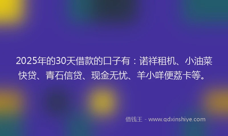 2025年的30天借款的口子有：诺祥租机、小油菜快贷、青石信贷、现金无忧、羊小咩便荔卡等。