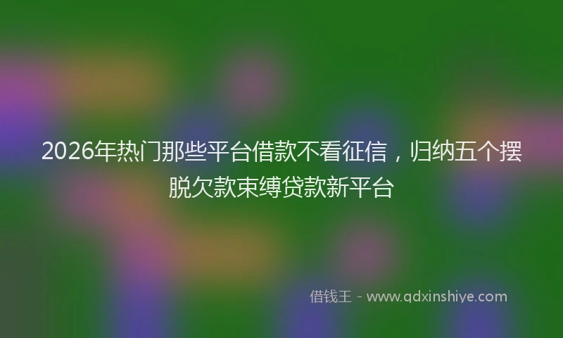 2026年热门那些平台借款不看征信，归纳五个摆脱欠款束缚贷款新平台
