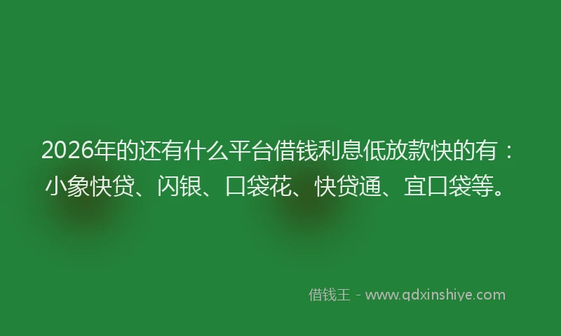 2026年的还有什么平台借钱利息低放款快的有：小象快贷、闪银、口袋花、快贷通、宜口袋等。