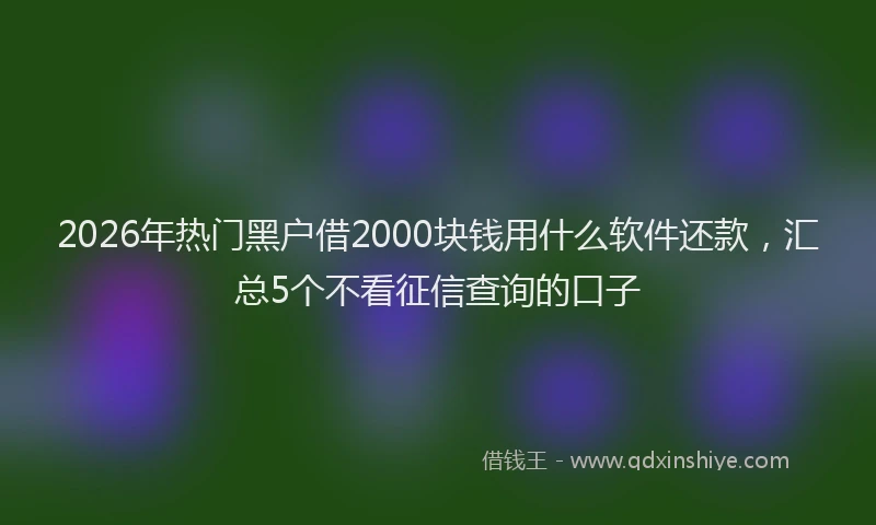 2026年热门黑户借2000块钱用什么软件还款，汇总5个不看征信查询的口子