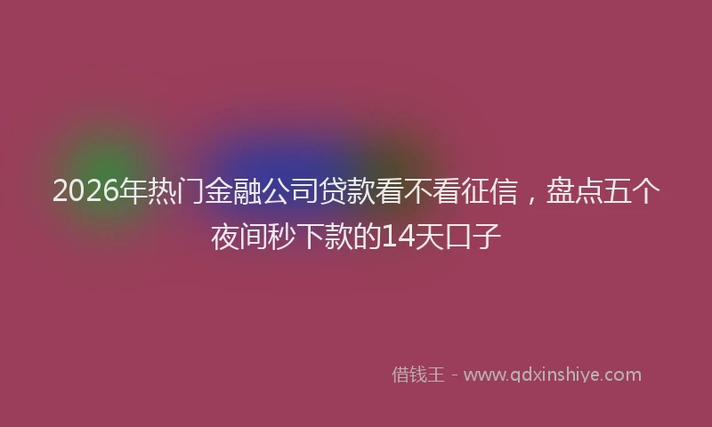 2026年热门金融公司贷款看不看征信，盘点五个夜间秒下款的14天口子