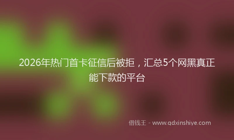 2026年热门首卡征信后被拒，汇总5个网黑真正能下款的平台