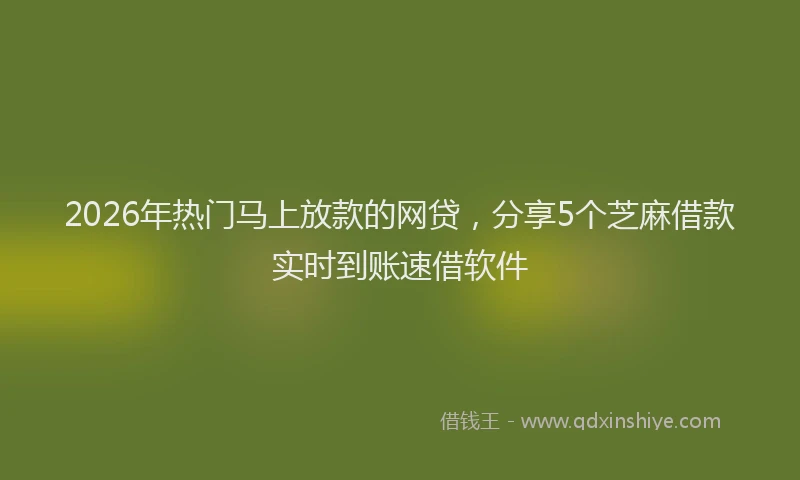 2026年热门马上放款的网贷，分享5个芝麻借款实时到账速借软件