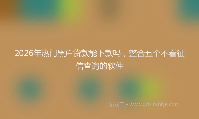 2026年热门黑户贷款能下款吗，整合五个不看征信查询的软件